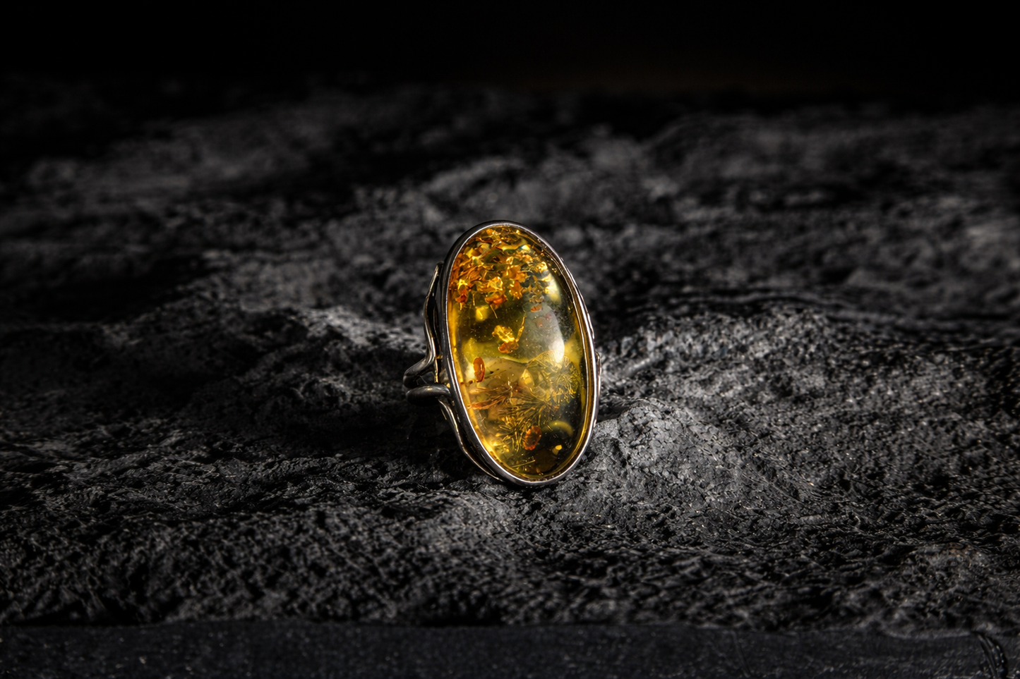 Anello Universo Fossile