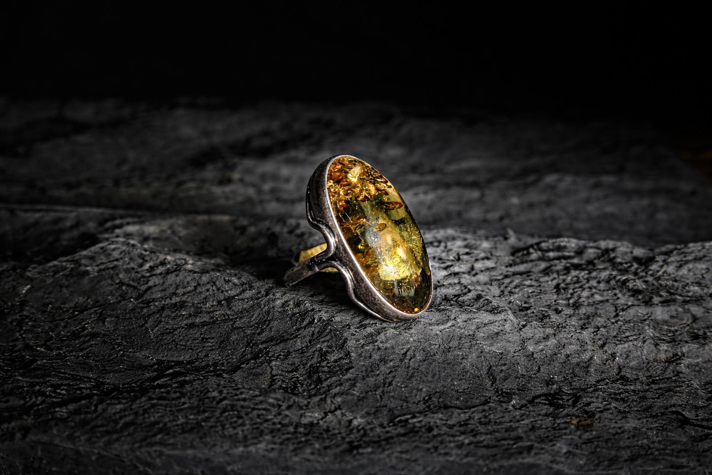 Anello Universo Fossile