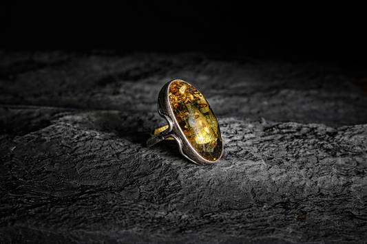 Anello Universo Fossile
